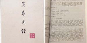 倪海厦黄帝内经 原文+讲解 人纪篇 PDF 百度网盘免费分享