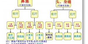 3000字详解倪海厦感冒治症简易图表