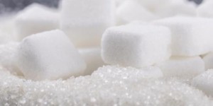 倪海厦说的蔗糖是指什么？麦芽糖是蔗糖吗？