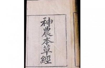 倪海厦：《神农本草经》的神髓