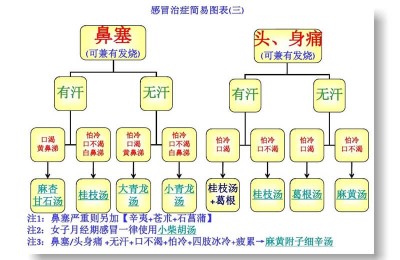 3000字详解倪海厦感冒治症简易图表