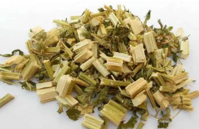 倪海厦神农本草经益母草（充蔚子）