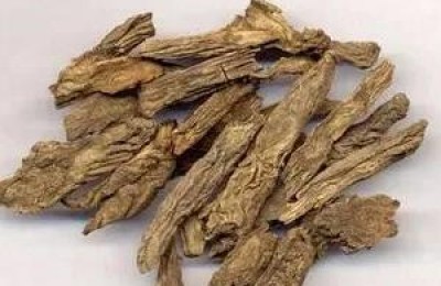 倪海厦神农本草经断续