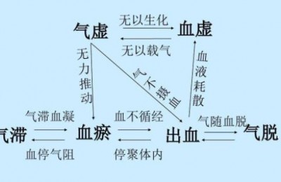 倪海厦：张仲景补阴虚的原则