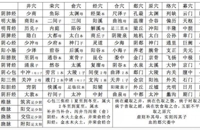 倪海厦人纪针灸笔记-成人幼儿的不同/现代针号/十二经纳天干地支与十二正经井荣俞原经合