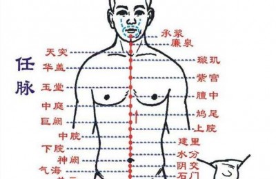 倪海厦人纪针灸笔记-任脉-中极关元石门阴交神阙水分下脘中脘巨阙鸠尾膻中天突廉泉承浆