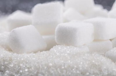 倪海厦说的蔗糖是指什么？麦芽糖是蔗糖吗？